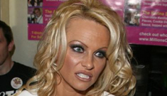 Pamela Anderson owes nearly $500 K in back taxes