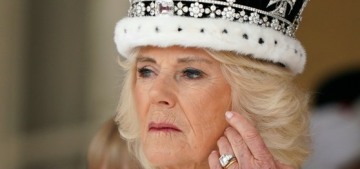 ‘Ruthless’ Queen Camilla has her knives out for the entire York family