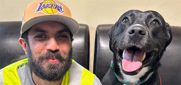 Dog reunited with his owner 15 months after LA wildfires burned down their home