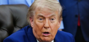 Donald Trump’s DOJ launched a criminal investigation into E. Jean Carroll for ‘perjury’