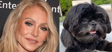 Kelly Ripa accidentally locked her dog, keys and phone in her car