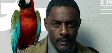 Idris Elba, 53: ‘Generationally, my age – we’re on the way out’