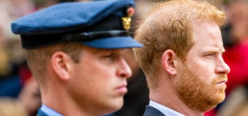 Wakeford: Prince Harry is desperate to reconcile with William & return to royal life