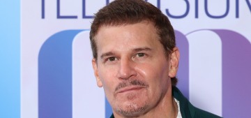 David Boreanaz: ‘This feels like the right time to bring back’ The Rockford Files