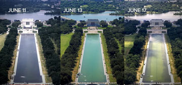 Move over algae, the new problem at the DC Reflecting Pool is that the lining is peeling