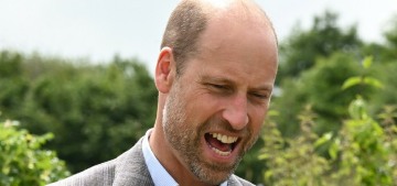 Baker: Prince William is ‘workshy’ when it comes to royal duties but not his duchy profits