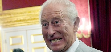 In a historic heatwave, King Charles had a man follow him around with a fan