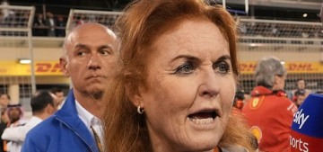 Sarah Ferguson visited Jeffrey Epstein twice while he was serving a prison sentence
