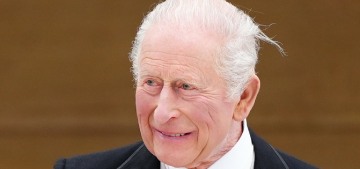King Charles’ aides follow ‘risk management protocol’ whenever Prince Harry visits