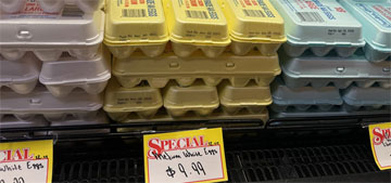 Egg producers settle price fixing claims with relative pittance