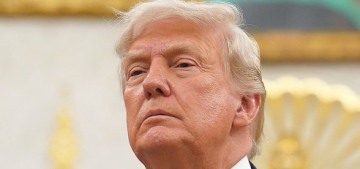 Donald Trump finally paid $5.6 million to E. Jean Carroll after defaming her