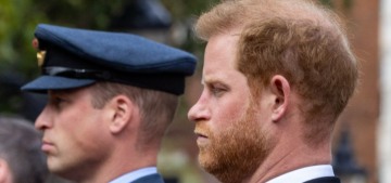 NYT: Prince Harry & Prince William ‘seemed as far apart as ever’ last week