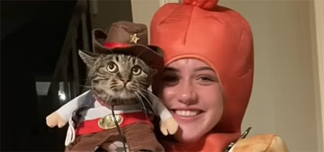 Cat reunited with owner after 40 days lost in the Colorado wilderness