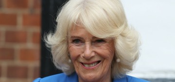Jobson: Queen Camilla attended the Highgrove Summit as a ‘witness’