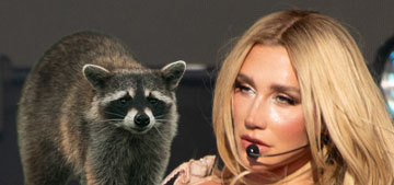 Kesha tries reasoning with a raccoon nicely to get it to leave her house