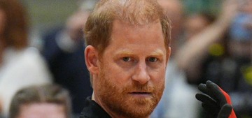 Prince Harry’s risk assessment was delayed because politicians get priority