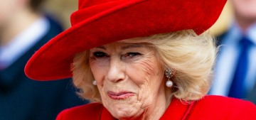 Queen Camilla’s splashy book give-away is coming in for some heavy criticism
