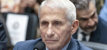 Dr. Anthony Fauci’s Senate hearing was an utter Republican clownshow