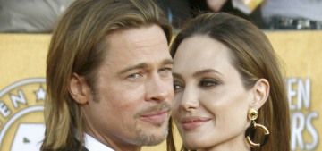 Angelina Jolie is ‘not surprised’ by Brad Pitt’s insobriety, ‘she tried to warn people’