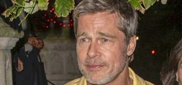 NYT: Sobriety experts have mixed feelings about Brad Pitt’s return to drinking