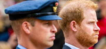 Platell: Prince Harry shouldn’t even try to speak to William before their dad dies!
