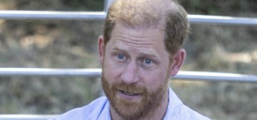 Mail: The Sussexes feel ‘the American dream might not be all it was cracked up to be’