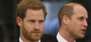 Prince William will have to be dragged by his three hairs into reconciling with Harry