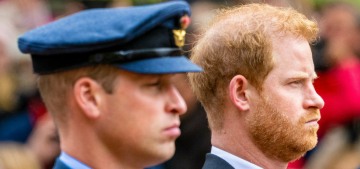 Prince William refuses to appear alongside Prince Harry at any future events