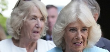Queen Camilla’s sister Annabel Elliot is getting paid by the king’s foundation