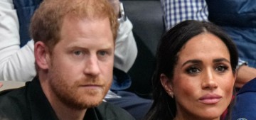 The Sussexes are ‘rankled’ by the palace calling them ‘private citizens’