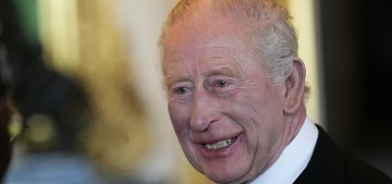 Buckingham Palace blasts Charles Spencer: grief clouds reason & colors memory