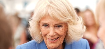Queen Camilla staggered around a festival while her allies whined about Charles Spencer