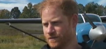 Prince Harry completed a tandem skydive on behalf of a 102-year-old veteran