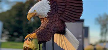 A new statue has been unveiled to honor Jackie the bald eagle